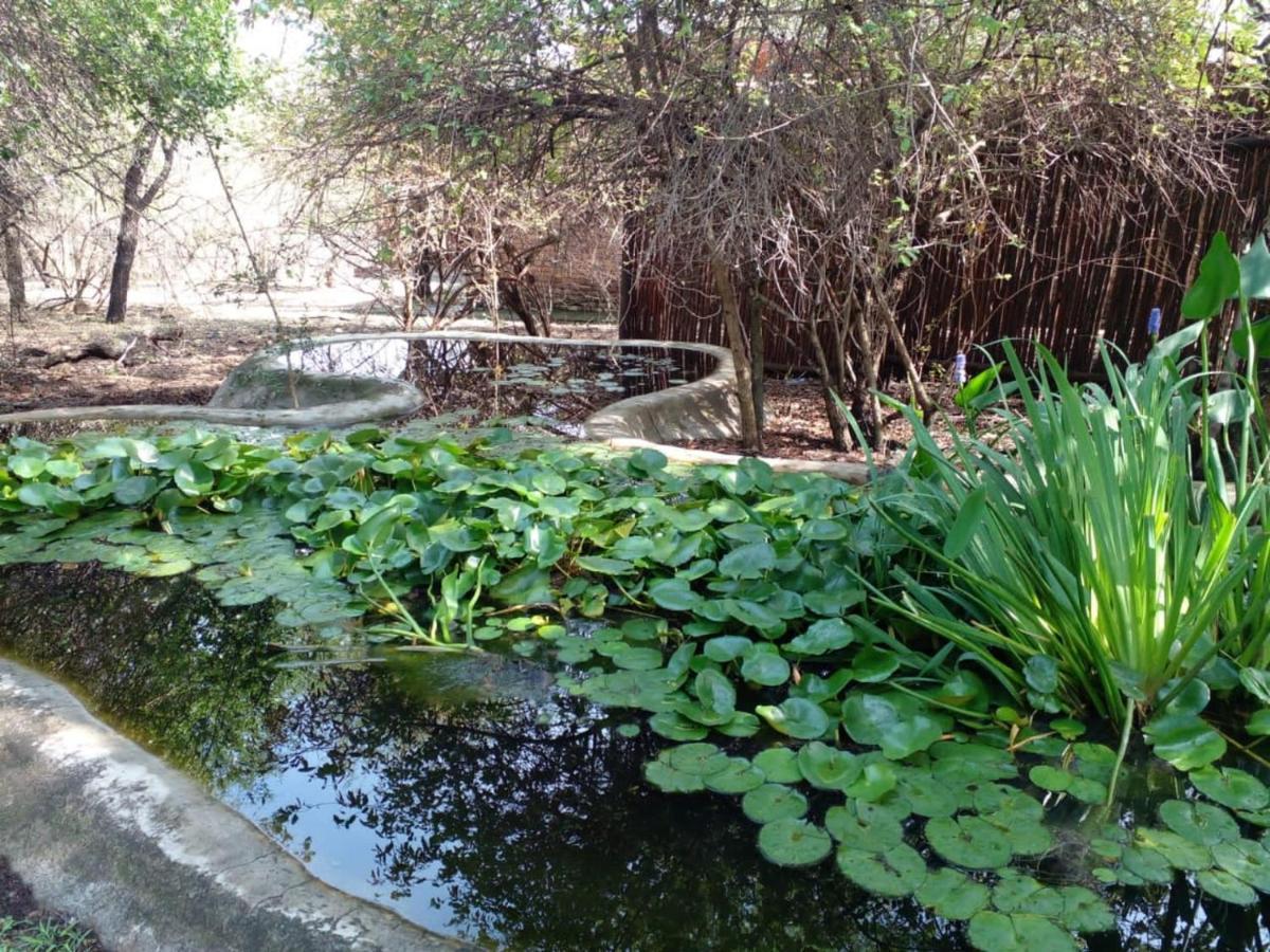 HomeBase Kruger Marloth Park Exterior foto