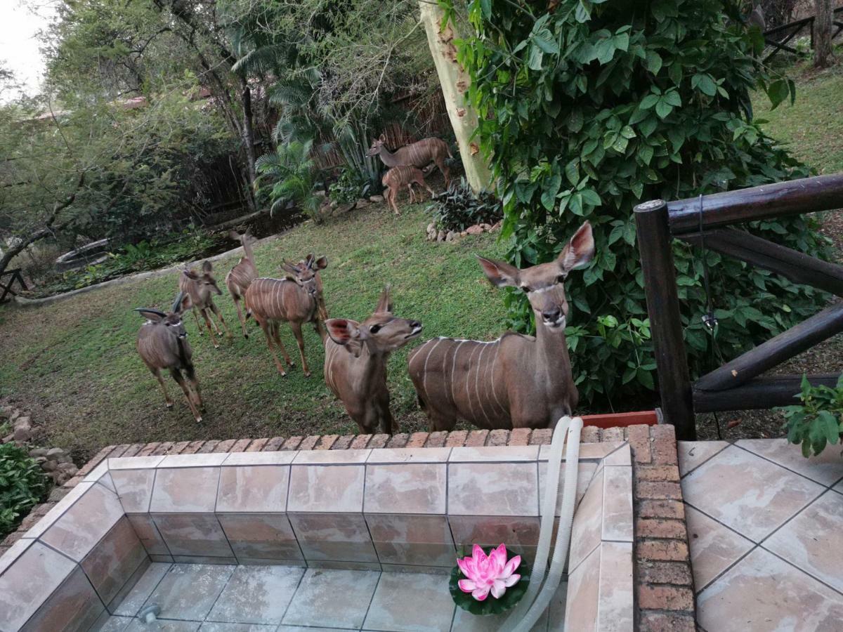 HomeBase Kruger Marloth Park Exterior foto